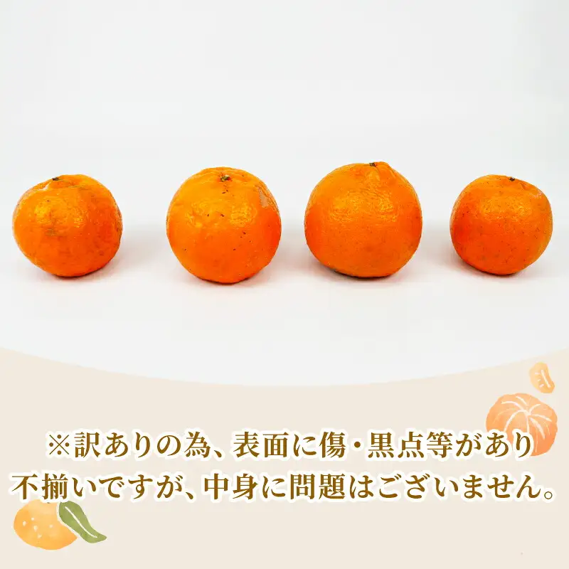 【宇和島産ポンカン】冬の柑橘ポンカン 10kg 矢野青果 B012-171031