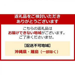 ライオン 柔軟剤 「ソフランプレミアム消臭」（アロマソープの香り）替特大セット(950ml×6個) 柔軟剤