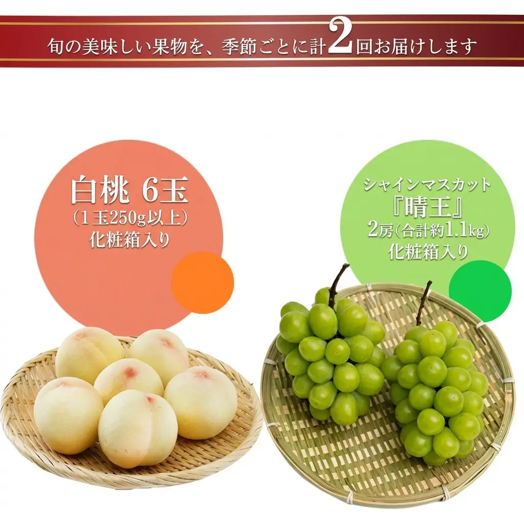 フルーツ 桃 ぶどう 岡山県産 フルーツ【定期便2回】【先行予約】