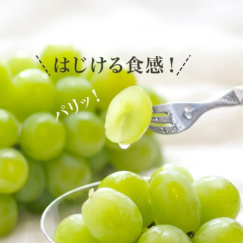 マスカット オブ・アレキサンドリア 化粧箱入り 岡山県産 マスカット【1房 700g以上】【先行予約】