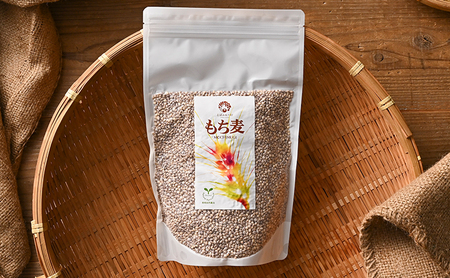 もち麦 自然栽培 ダイシモチ 1kg 無農薬 もち麦