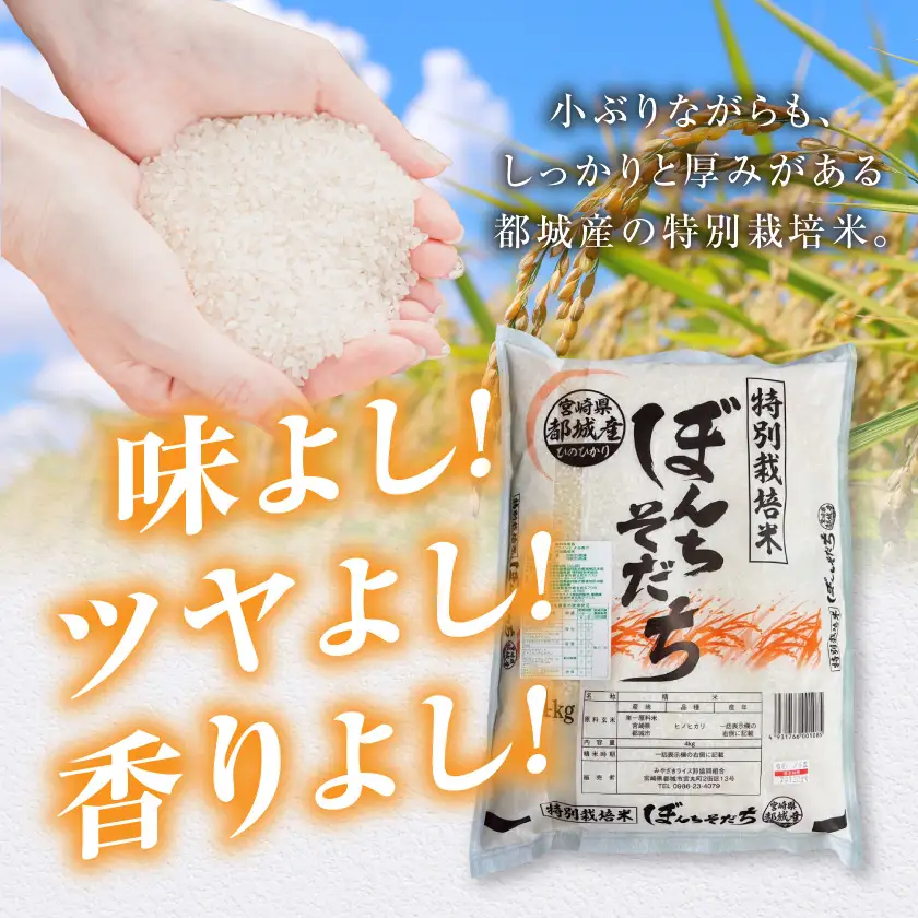 都城産ひのひかり特別栽培米「ぼんちそだち」4kg〔AA-N5-001-4kg〕_(都城市) 都城産 お米 4kg 4kg×1 ひのひかり ぼんちそだち