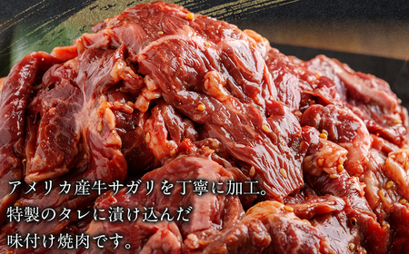 【12か月定期便】牛サガリ味つき焼肉用 500g (250g×2) MROBM027
