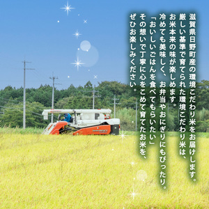 【令和7年産こしひかり】 米 5kg コシヒカリ わたむきファーム