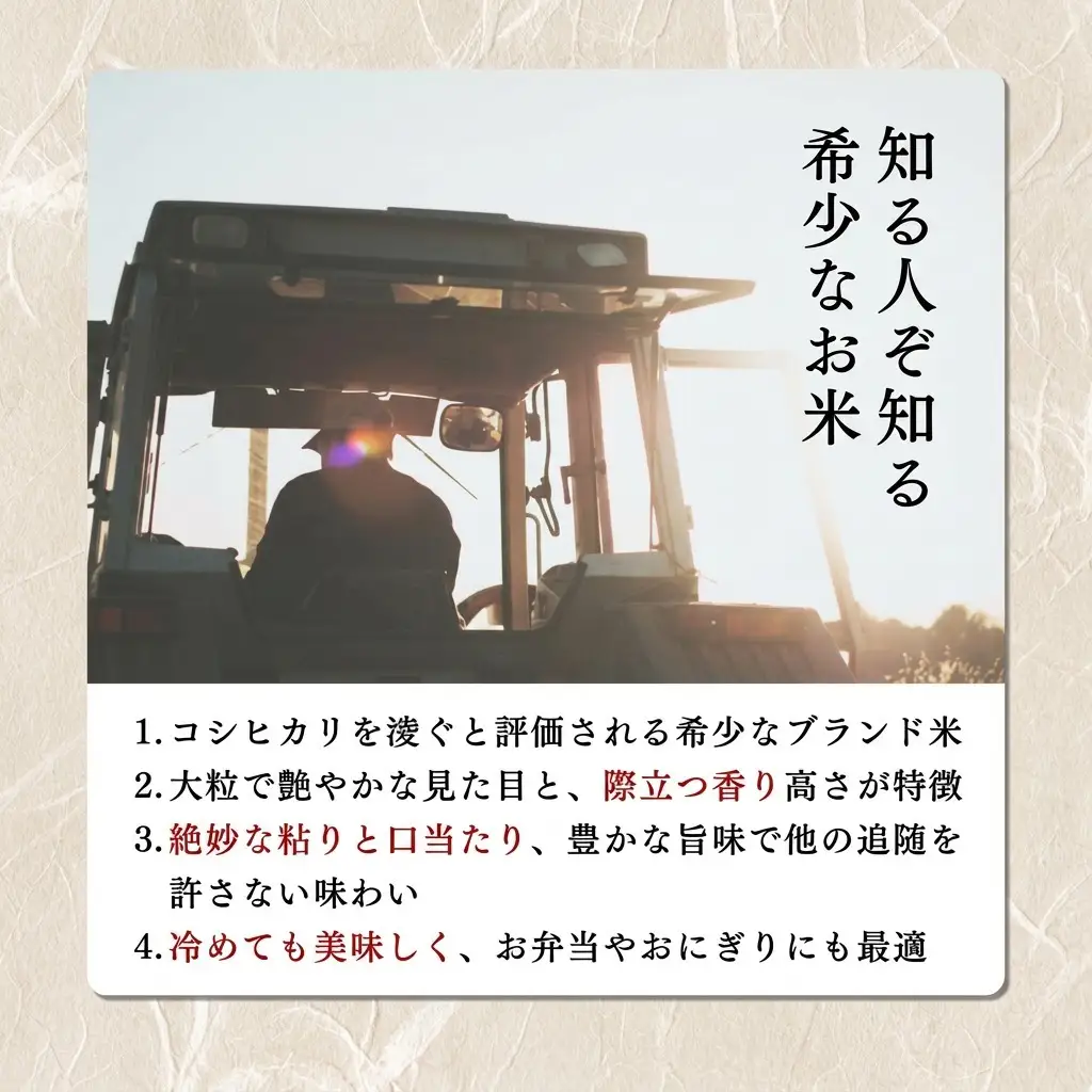 【令和8年12月配送】新米予約 みずほの輝き 5kg 新米 新潟県産