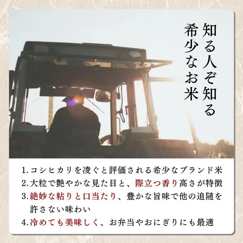 【6回定期便】新米予約 みずほの輝き 5kg 30㎏ 新米 令和8年