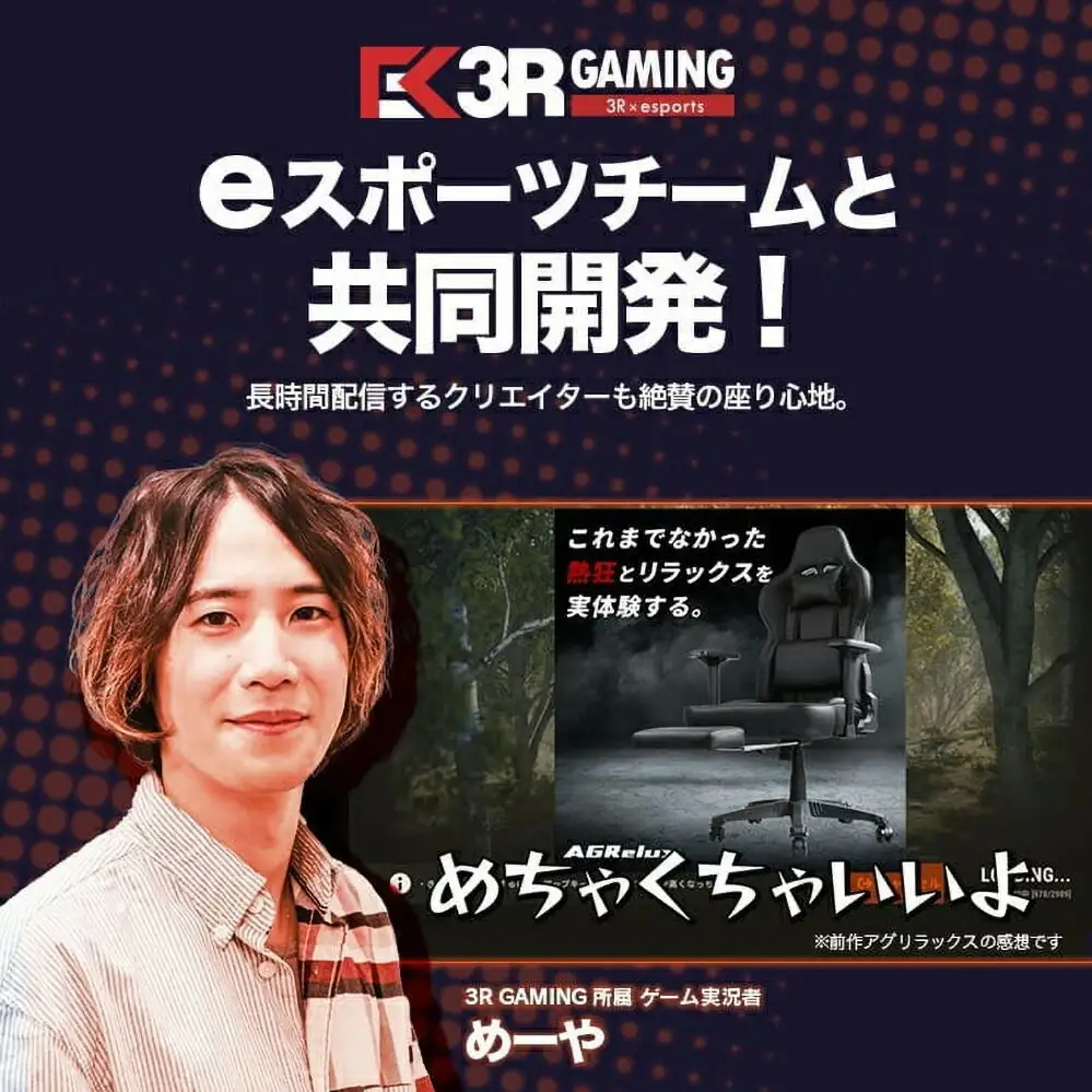 【AGRelux】ゲーミングチェア AGRelux Z  座椅子 【1年間保証】
