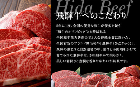 飛騨牛ミンチ1kg（500g×2）| ミンチ ハンバーグ MZ042