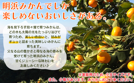 ＜愛媛県明浜産 笑丸みかん（温州みかん）約3kg 小玉サイズ＞ 家庭用 訳あり ワケアリ 果物 くだもの フルーツ ミカン 柑橘 特産品 笑丸 愛媛県 西予市【常温】『2026年11月中旬～2027年1月上旬迄に順次出荷予定』AAN0063