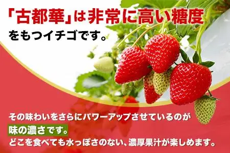 和だや『古都華』2６0×２パック【大粒】