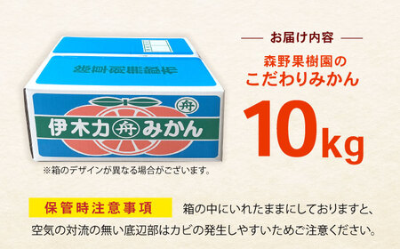 伊木力産 森山果樹園のこだわりみかん 10kg / みかん ミカン 柑橘 伊木力みかん 温州みかん / 諫早市 / 森山果樹園[AHCO007]