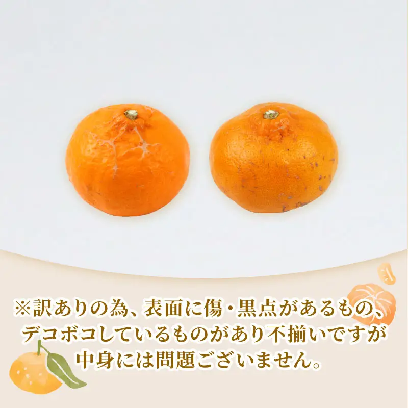 訳あり せとか 矢野青果 5kg せとか B012-171032