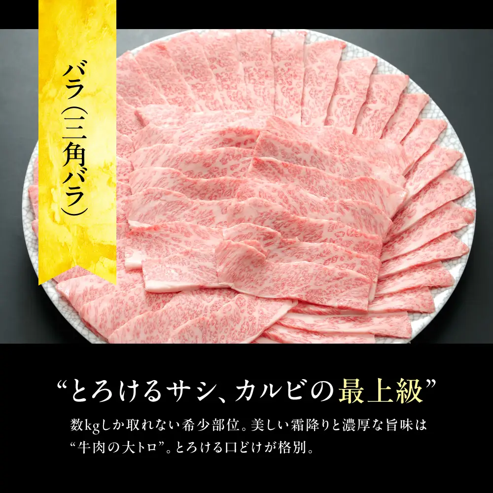 ≪品質100%保証≫　A5等級 飛騨牛 特上　霜降り焼肉 300g