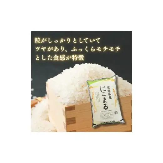 愛媛県産にこまる10kg