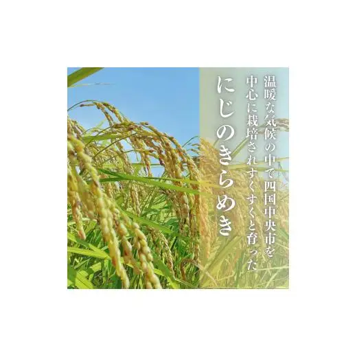 愛媛県産にじのきらめき5kg