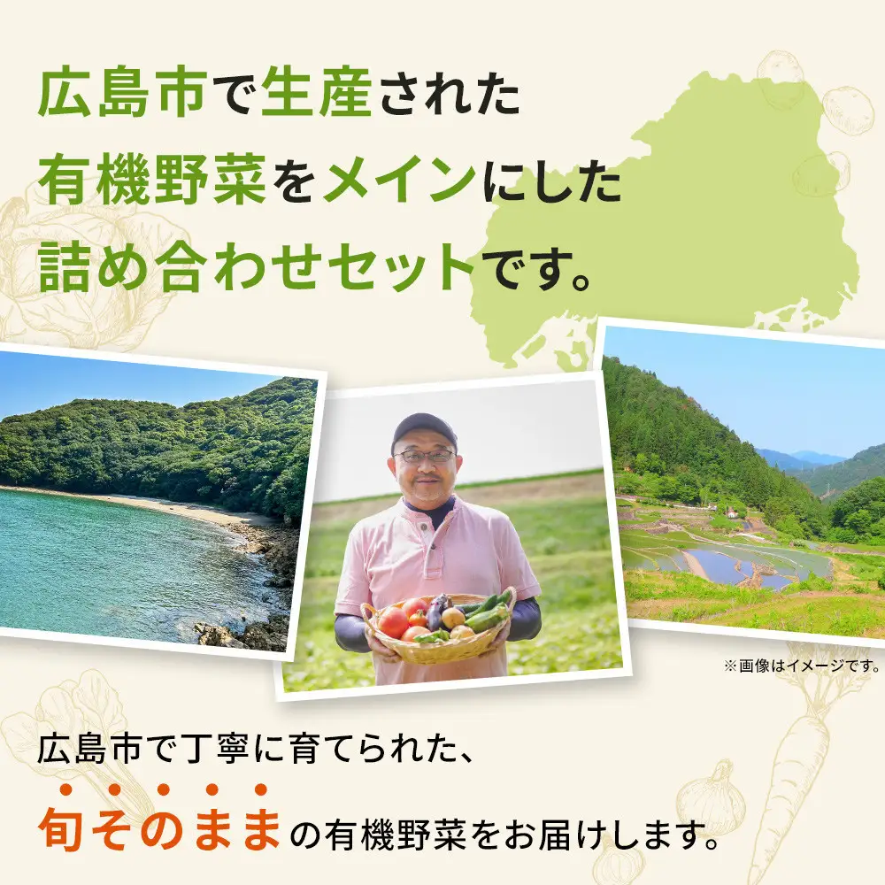 【年内発送可！(12月27日決済完了分まで）】有機野菜詰め合わせセット(5～6種類)