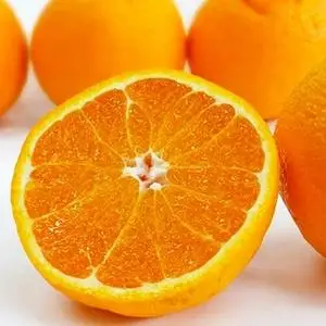 【先行予約】【 デコポン と同品種】 不知火 3kg みかん しらぬい 愛媛 愛南 吉田農園
