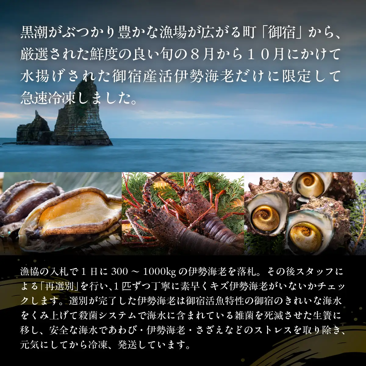 活〆生食用伊勢海老（冷凍）1950g（300～350g）×6匹  ONJB041