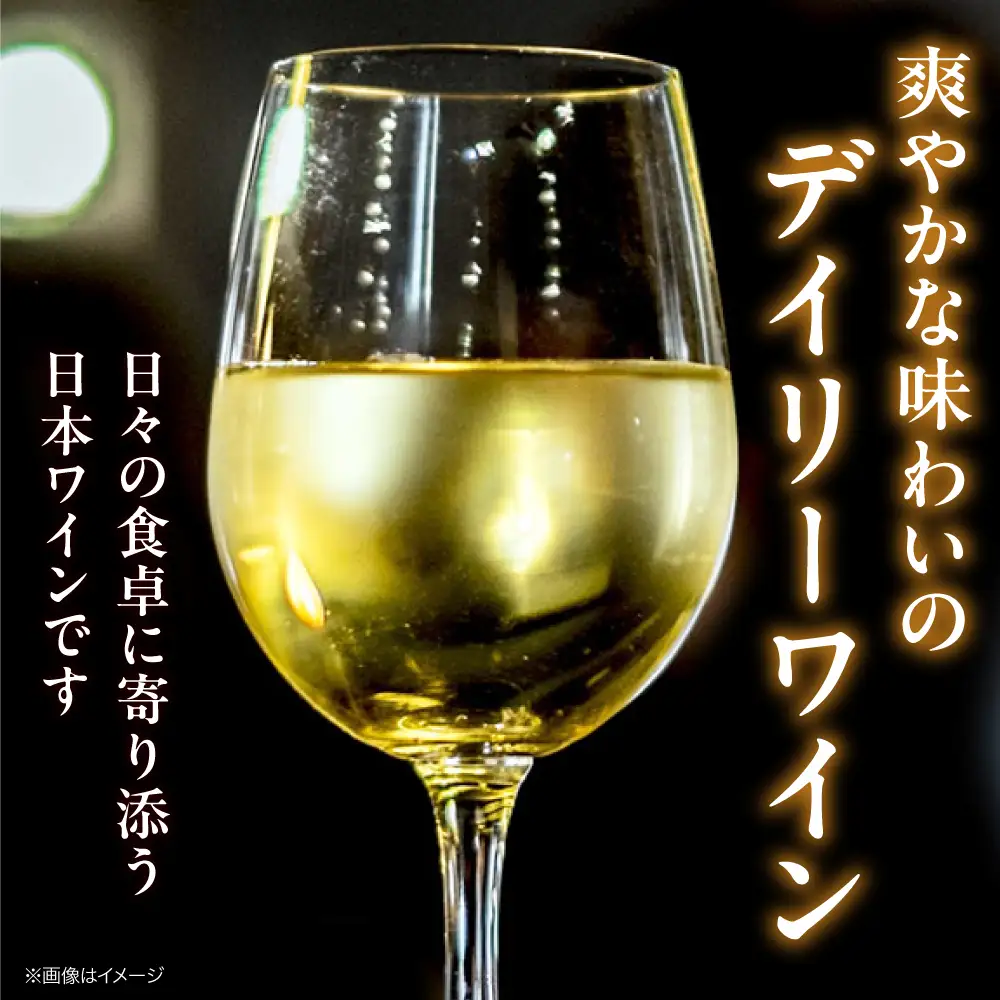 白ワイン 燦來 きら KIRA 750ml×2本[APAZ124]白ワイン