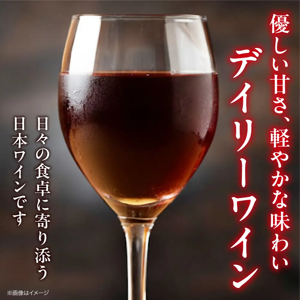 赤ワイン 榴 りゅう RYU 750ml×12本 [APAZ136]赤ワイン