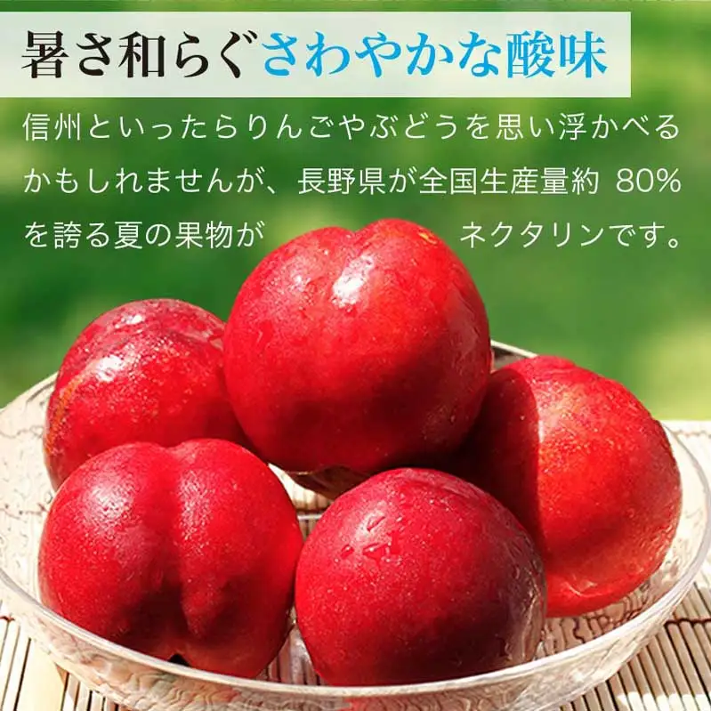旬のネクタリン 約1.8kg 5～15玉 ［小布施屋］ 果物 フルーツ 桃 もも 長野県産 小布施 冷蔵便 クール便 産地直送 数量限定 送料無料 令和8年産 【2026年7月上旬～9月上旬発送】［H-102］