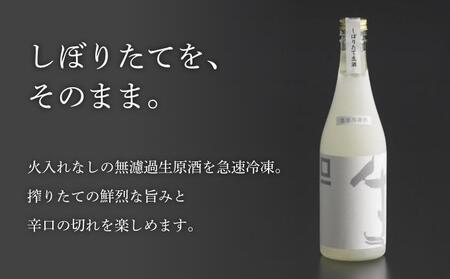 急速冷凍酒 スクウェア・ワン 500ml［桝一市村酒造場］ お酒 日本酒 地酒 ご当地 生酒 プレゼント 贈答 長野県 信州 お取り寄せ 蔵元直送 辛口［C-403］