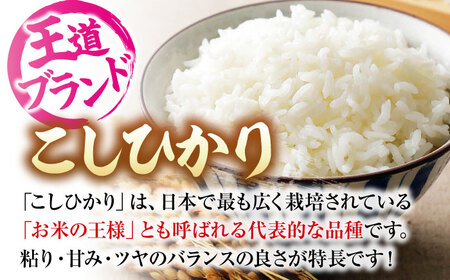 【全3回定期便】新米 令和8年産コシヒカリ 2kg [APBM025]