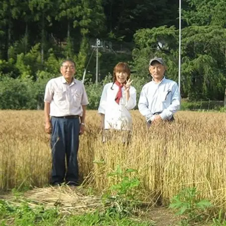 高山村産小麦粉ハナマンテン100%使用の手作りピザ3枚セット【配送不可地域：離島・北海道・沖縄県】【1023388】