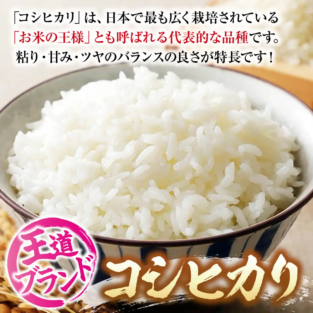 【全2回定期便】 米 盆地そだちこしひかり 5kg[APBM028]米