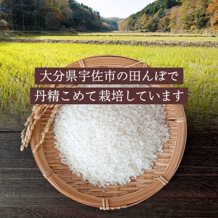 ひのひかり (計5kg) 米 お米 ひのひかり ヒノヒカリ 白米 ご飯 大分県産【118500200】【両院農産】