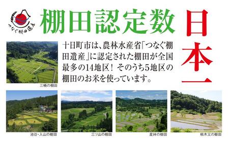 【定期便／全3回】精米2kg　令和7年産新潟県十日町市魚沼産コシヒカリ「つなぐ棚田米」  米 こしひかり 精米 定期 十日町市