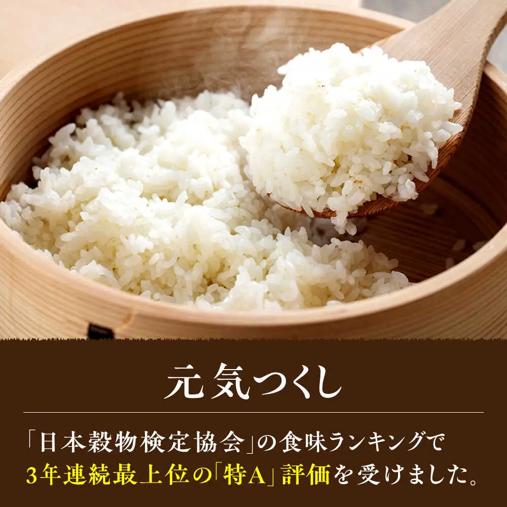 福岡県産 元気つくし 白米 5kg×1袋 [BGAF025]元気つくし