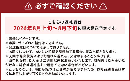 北海道産 とうもろこし 恵味 2Lサイズ 22本 約8kg 1箱 国産 トウモロコシ 冷蔵 【2026年8月上旬-8月下旬迄発送予定】