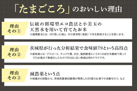 【 数量限定 】小美玉産コシヒカリ「たまごころ」玄米5kg コシヒカリ こしひかり 米 お米 玄米 5kg ごはん ご飯 単一原料米 循環農法 エコ 天然水 特Aクラス 減農薬 美容 健康 茨城県産 8-X