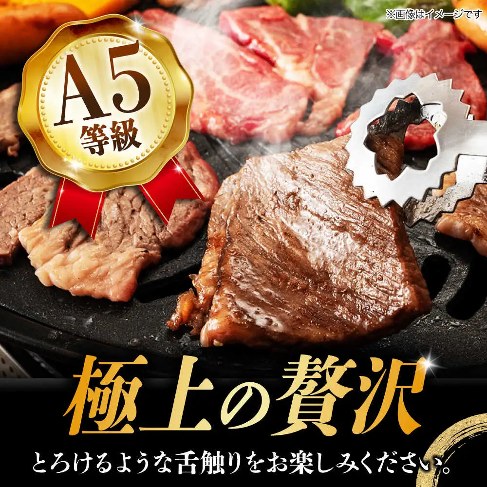 【9月発送】飛騨牛 焼肉用 ロース・肩ロース 500g A5等級 [TAZ030-9]