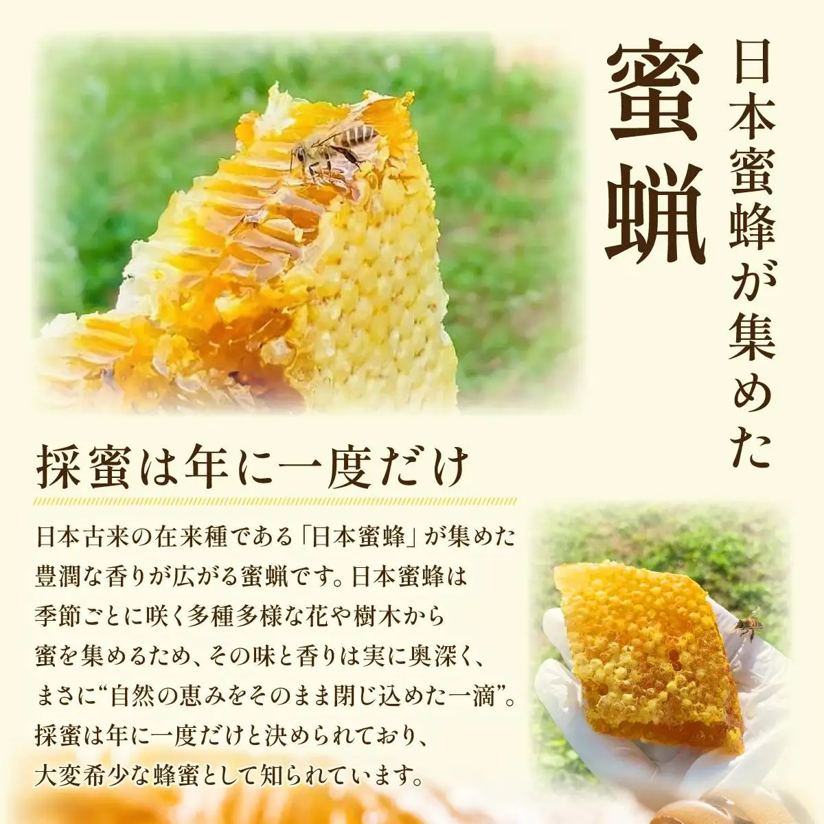 日本蜜蜂の蜜蝋350g