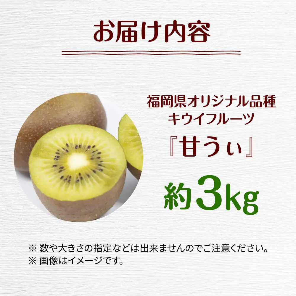福岡限定品種キウイ「甘うぃ」約3kg／2026年11月頃より発送予定 桂川町/一般社団法人地域商社ふるさぽ[ADCF012]