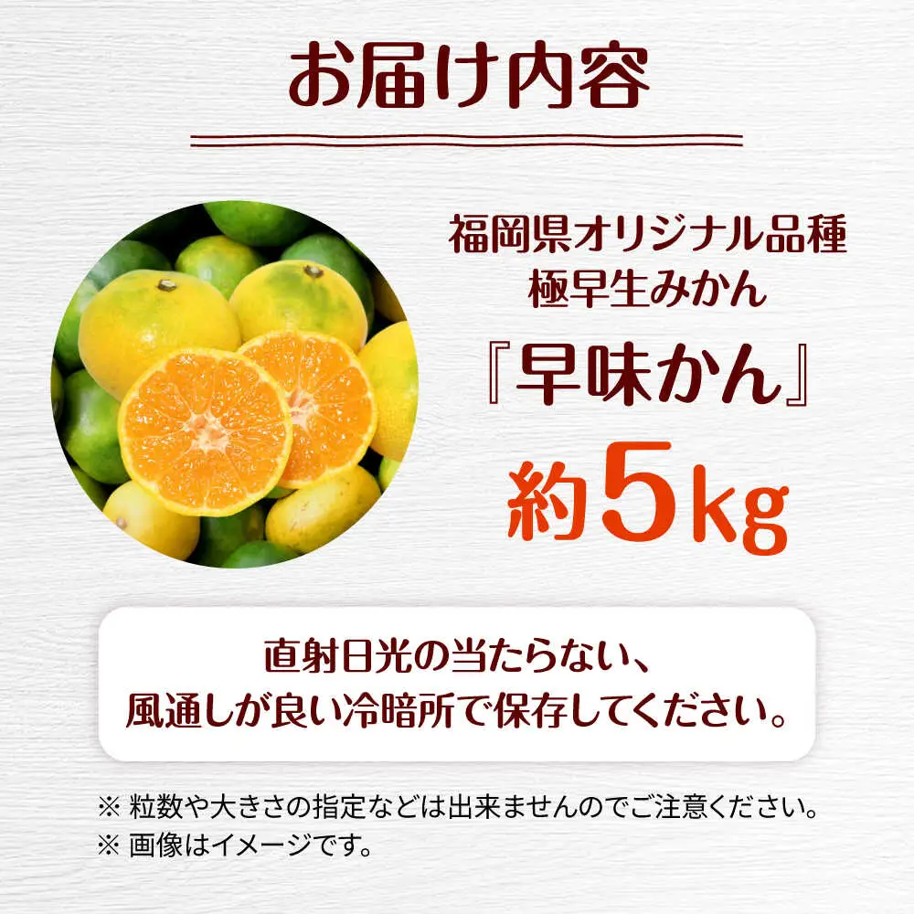 福岡県オリジナル品種極早生みかん『早味かん』約５kg／2026年9月頃より発送予定 桂川町/一般社団法人地域商社ふるさぽ[ADCF014]