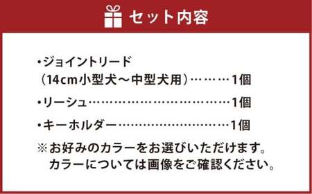 愛犬さんのお散歩すっぽ抜け防止！首輪とハーネスを繋ぐジョイントリード（平編み・スタンダード）＆愛犬さんと飼主さんを繋ぐリーシュ（サブ持ち手）セット お揃いのわんこキーホルダー付き ／ ペット 犬 愛犬 首輪 リード リーシュ ペット用品 雑貨 ファッション アクセサリー