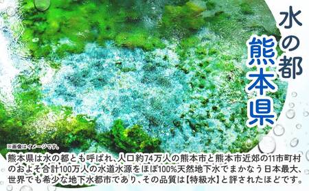 【3ヶ月定期便】熊本のおいしいお水 阿蘇のメイスイ 2L×12本（2ケース）