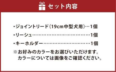 愛犬さんのお散歩すっぽ抜け防止！首輪とハーネスを繋ぐジョイントリード（6本丸編み・スタンダード）＆愛犬さんと飼主さんを繋ぐリーシュ（サブ持ち手）セット お揃いのわんこキーホルダー付き ／ ペット 犬 愛犬 首輪 リード リーシュ ペット用品 雑貨 ファッション アクセサリー