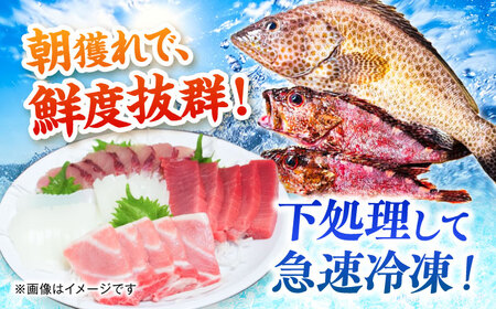 【3回定期便】漁師の極み刺身パック（匠）1皿 五島市/Sun Sea Go Company 魚 おまかせ お任せ 鮮魚 五島列島[PGL022]