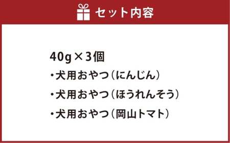 犬用カリカリおやつ【緑黄色野菜】 40g×3個（計120g） ペットフード 犬 ペット ドッグフード カリカリ 犬用おやつ 健康 低カロリー 日用品 雑貨