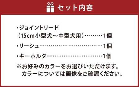 愛犬さんのお散歩すっぽ抜け防止！首輪とハーネスを繋ぐジョイントリード（フラワー）＆愛犬さんと飼主さんを繋ぐリーシュ（サブ持ち手）セット お揃いのわんこキーホルダー付き ／ ペット 犬 愛犬 首輪 リード リーシュ ペット用品 雑貨 ファッション アクセサリー