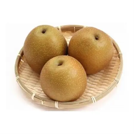 【訳あり】王秋梨 5kg(5～16玉前後)【配送不可地域：離島・北海道・沖縄県】【1696737】