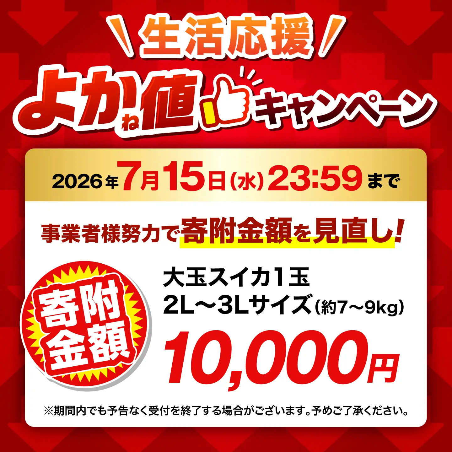 ＼生活応援キャンペーン／熊本すいか大玉2L〜3Lサイズ1玉 (約7〜9kg)[ZFV001]