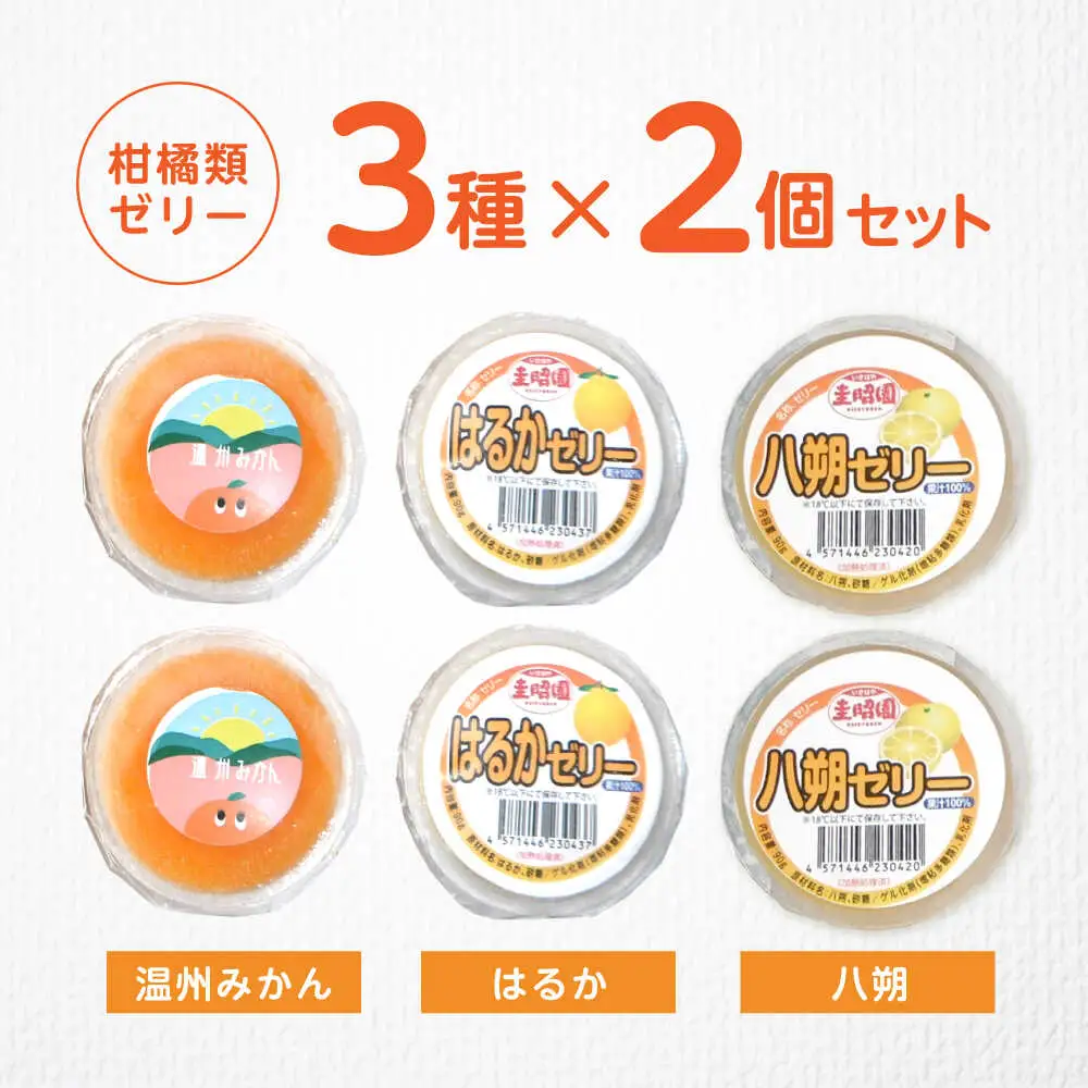 柑橘類ゼリー (2個×3種) 6個セット / ゼリー ぜりー 果汁ゼリー 柑橘 八朔 温州みかん はるか / 諫早市 / 圭昭園　[AHAZ010]