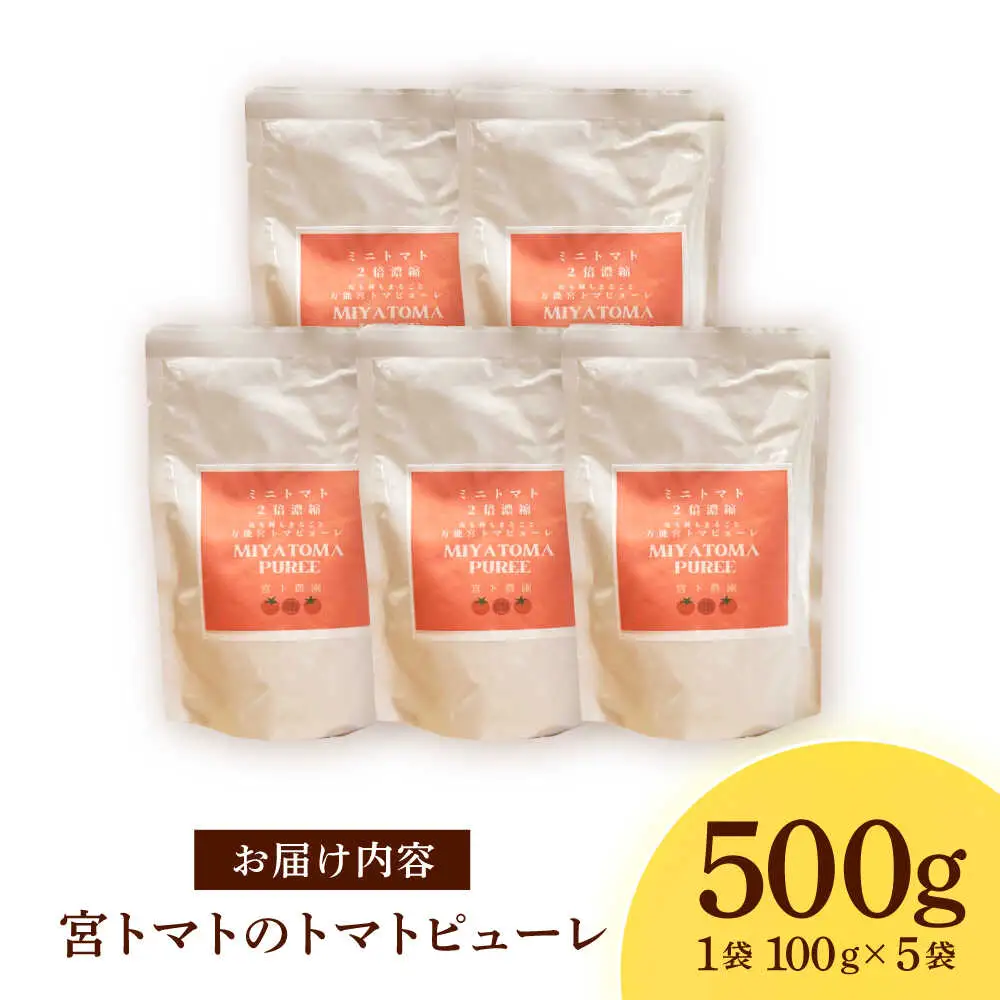宮トマトのトマトピューレ 100g×5 / トマト ピューレ 濃縮ピューレ とまと 100％ / 諫早市 / 宮下農園[AHCG034]