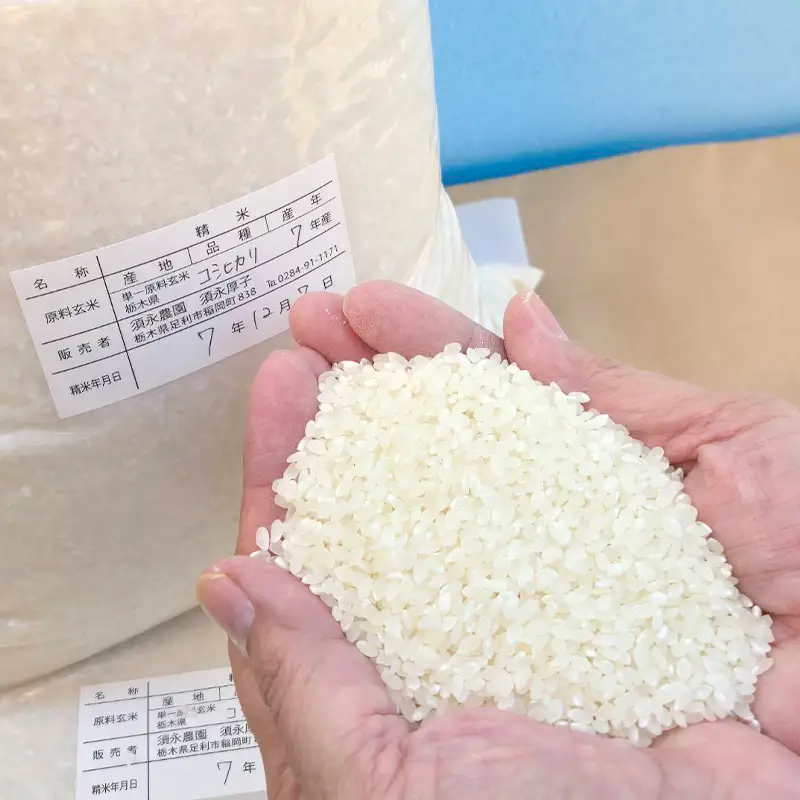 令和7年産 栃木県足利市産 コシヒカリ10kg〈5kg×2袋〉 精米 白米 米 こめ ごはん 食品 栃木県 足利市  F7Z-1972