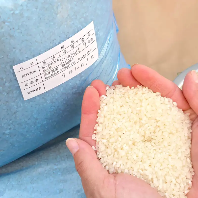 令和7年産 栃木県足利市産にじのきらめき10kg〈5kg×2袋〉 精米 白米 米 こめ ごはん 食品 栃木県 足利市  F7Z-1974